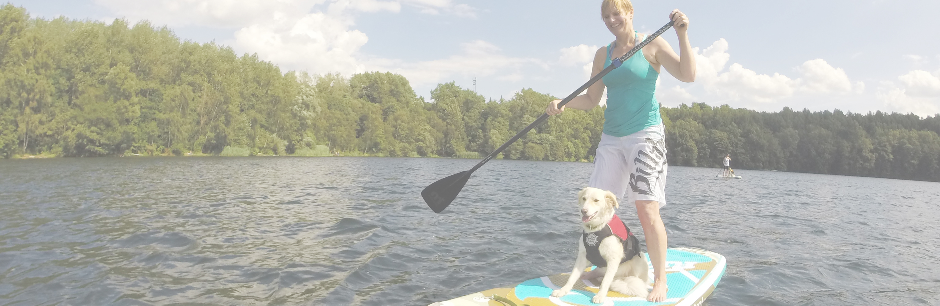 Foto - Woof Coach - Termin
